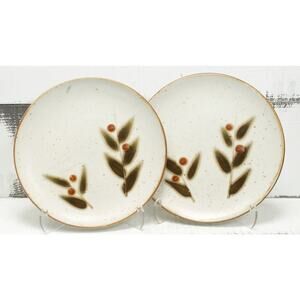 Otagiri Bittersweet Salad Plates Set of 2 Japan